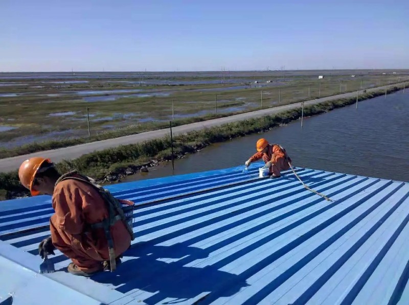 内乡彩钢瓦屋面防腐翻新